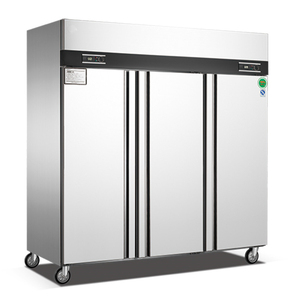 Réfrigérateur de cuisine à <span class=keywords><strong>2</strong></span> <span class=keywords><strong>portes</strong></span> à température unique nouveau style Réfrigérateur commercial à double porte vertical pour restaurants - Product Image 5