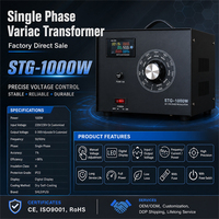 Transformateur Variable 1000W Certifié CE ISO, Réglable 0-300V, Variac de Haute Qualité à Bobine Toroidale, Efficacité 98%, Monophasé