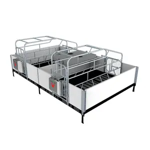 3.6*2.2m Galvanized Pipe Cheap Piglet Double New Pig Farrowing Crates For Sale