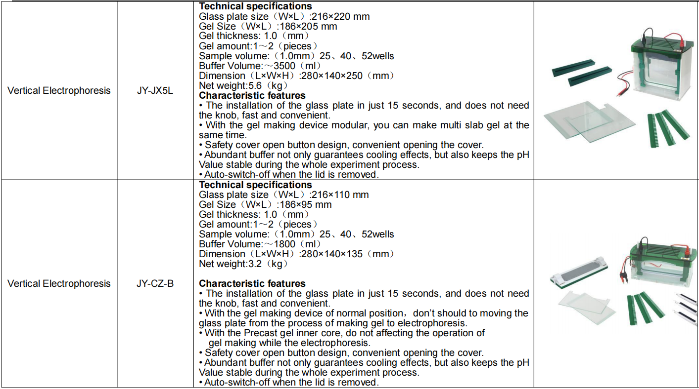 Vertical Gel Electrophoresis System With Electrophoresis