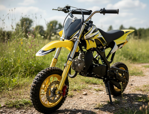 Precio Directo de Fábrica, Motocicleta Todoterreno de Gasolina de 49cc para Niños, 2 Tiempos, Motocross, Velocidad Máxima de 40-60 km/h para Principiantes, Envío Gratis - Product Image 1