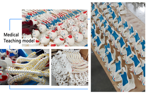 의학 교육 어깨 팔꿈치 엉덩이 무릎 해부학 근육 4 관절 모델 - Product Image 6