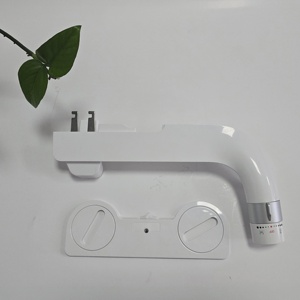 2025 новый продукт, биде с холодной водой - Product Image 5