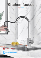 Grifo de Cocina de Acero Inoxidable SS304, Negro Mate, Sin Plomo, de un Solo Orificio, Montado en el Encimera, Extraíble, para Proyectos