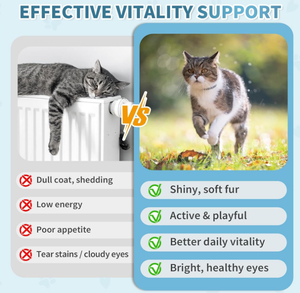 OEM/ODM Fromage à mâcher multi-vitaminé croquant et crémeux pour chats avec <span class=keywords><strong>taurine</strong></span> pour une peau et un pelage sains Supplément de santé quotidien - Product Image 4