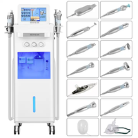 Appareil de raffermissement cutané au diamant 14 en 1, appareil portable de peeling aquatique, dermabrasion, oxygénation, machine de beauté pour le rajeunissement de la peau