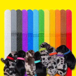 12 unids/set de lazo de cable de identificación de mascotas moda espalda con espalda gancho y correa de bucle cachorro ID Collar cuello encaje