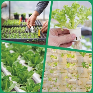 Pods hydroponiques carrés, bouchons de semis, éponges de croissance rapide pour les racines, cubes de remplacement pour les graines de légumes - Product Image 4