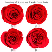 AYOYO Emballage personnalisé OEM, Meilleures ventes, Têtes de roses Austin naturelles préservées, Fleurs artificielles de qualité supérieure