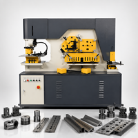 Machine hydraulique Q35Y-25 pour le travail du fer, équipement combiné de poinçonnage et de cisaillement pour le traitement des profilés en acier et des poutres en I