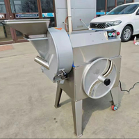 Populaire slijtvaste fruit- en groentesnijmachine met één mes, multifunctioneel, verstelbare dikte, motor