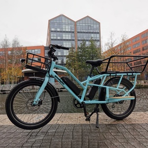 48v livraison de cargaison alimentaire double batterie Cargo Bike 500w électrique Cargo Bike EU entrepôt - Product Image 3