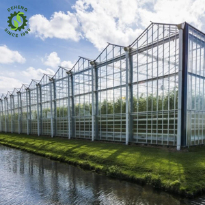Atacado Qualidade Fina Curvo Painéis De Vidro De Estufa De Vidro Agrícola De Alta Qualidade Estufa - Product Image 3