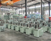Transformador Monofásico de Poste de 25KVA, 11KV, 120V, 240V, Sumergido en Aceite, Doble Bobinado, Personalizado ANSI, Alta Fiabilidad Eléctrica