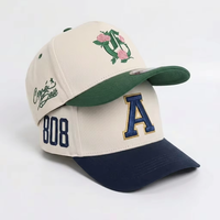 Gorra de Béisbol Personalizada de Alta Calidad, Gorras con Logotipo Bordado en 3D, Gorra de Béisbol con Cierre a Presión para Hombre