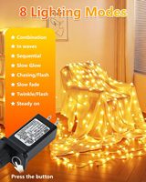 Guirlande lumineuse à 100 LED en forme d'étoiles de cristal, 33 pieds, étanche, pour jardin, intérieur/extérieur, mariage, fête, arbre de Noël, Nouvel An