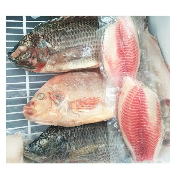China orgánico congelado de filete de Tilapia/Basa filete de pescado