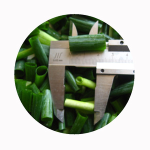 Gefrorenes grünes Blatt Frühlings zwiebel Frühlings zwiebeln Schneiden gehackt gehackt Mit grünem Stiel geschnitten IQF Freezing Chinese <span class=keywords><strong>Chives</strong></span> Hydro ponic - Product Image 3