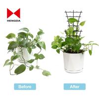 Shenniu — Support plastique pour plantes grimpantes, cadre en treillis, tige de tige, anneau pour fleurs de jardin