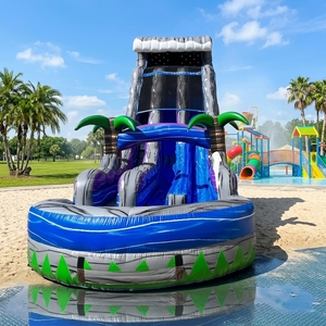 Toboganes de agua inflables gigantes de 30 pies Tobogán de doble carril de palmera tropical de grado comercial con piscina de agua - Product Image 6