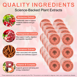 Acentiallabs vá tin berberine các bản vá lỗi thuần chay berberine giảm cân các bản vá lỗi để hỗ trợ chuyển hóa đường - Product Image 2