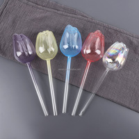 Globes d'arrosage automatique en verre pour plantes - Aiguilles d'arrosage automatiques en verre borosilicate pour plantes d'intérieur et d'extérieur