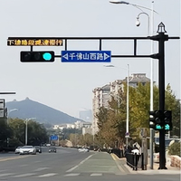 Vente chaude, divers types de lampadaires LED extérieurs pour cour, paysage, place, lampadaires de signalisation routière