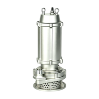 Pompe submersible à eaux usées WQ(D)X-S à haute pression en acier inoxydable 304, sortie filetée BSP, basse pression, OEM, usage commercial, eaux usées