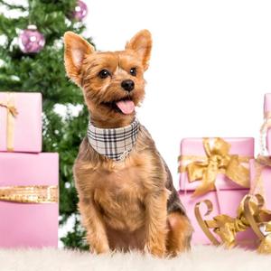 Kalung dan Tali Anjing Berbahan Lembut Motif Kotak-kotak Klasik untuk Hewan Peliharaan, Set Kalung dan Tali Anjing Kucing, Set Bandana Kucing - Product Image 3