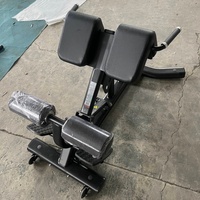 Banc d'extension du dos Chaise romaine 45 degrés Hyperextension Extension du dos réglable Banc d'entraînement Gym Fitness Musculation