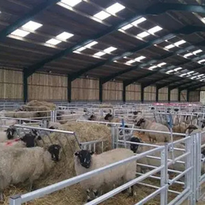 Atelier en structure métallique pour <span class=keywords><strong>abattoir</strong></span> avicole en Arabie Saoudite, emplacement du projet - Product Image 2
