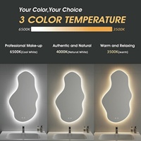 3000K 4000K 6000K Fabricantes ajustables Atenuación táctil Led retroiluminado con luces Espejos de baño de forma irregular sin marco