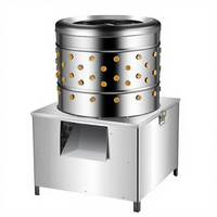 Machine à épiler la volaille entièrement automatique en acier inoxydable avec moteur 220V pour poulets, oies, pigeons, cailles