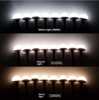 Vente directe du fabricant : Miroir de maquillage LED tactile à 10 ampoules IP44, température de couleur 3000K-7000K, garantie 1 an