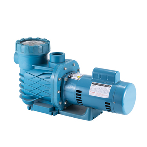 Bomba de Piscina Profesional ASP de 220V y 1.0HP para <span class=keywords><strong>Piscinas</strong></span> Limpias y Claras, Filtros de Agua Compatibles con Frecuencia de 50HZ y 60HZ, <span class=keywords><strong>Tipo</strong></span> <span class=keywords><strong>Spa</strong></span> - Product Image 5