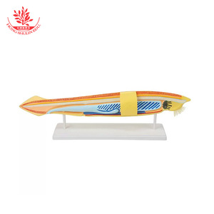 PVC - Product Image 2