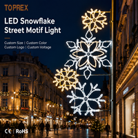 Motif LED TOPREX pour poteau, design flocon de neige 2D en fil métallique, cadre en aluminium antirouille, certifié CE ROHS SAA, écoénergétique