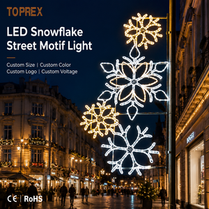 Motivo LED per Pali TOPREX, Design a Fiocco di Neve 2D, Telaio in Alluminio Antiruggine, Certificato CE ROHS SAA, Efficiente dal Punto di Vista Energetico - Product Image 2