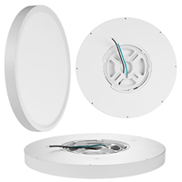Plafonniers LED modernes de haute qualité 18W, 9 pouces, pour chambre à coucher, montage en surface, 5CCT, OEM, plastique, IP44