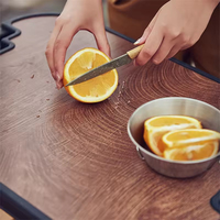 Panier de pique-nique pliable multifonctionnel en plastique et fer avec poignée de table, design moderne pour mobilier d'extérieur