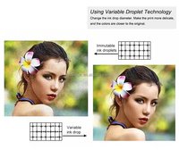 Nueva Impresora UV DTF de Cabezal Doble/Simple con Efecto Barniz, Impresora UV Plana de Formato Pequeño A3 de Alta Calidad, Tinta UV, 1 Año de Garantía