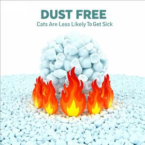 Arena para gatos ligera, incinerable y desechable, arena para uso posterior a base de papel - Product Image 4