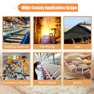 Chargeur automatique Manipulation des matériaux Vibrer Godet Ascenseur Pellet Hélicoïdal Vertical Trémie Carbone Acier Vis Feeder - Product Image 6