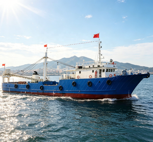 Grandsea - Barco Pesquero Comercial <span class=keywords><strong>de</strong></span> 45 m, <span class=keywords><strong>de</strong></span> Acero, Diésel, Nuevo, Tipo Pelágico, con Congelador, para Pesca <span class=keywords><strong>de</strong></span> Arenque, <span class=keywords><strong>en</strong></span> <span class=keywords><strong>Venta</strong></span> - Product Image 1