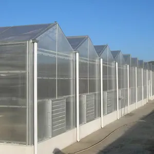 Metal alüminyum evler küçük Mini düşük maliyetli çerçeve polikarbonat ticari bahçe seraları satmak