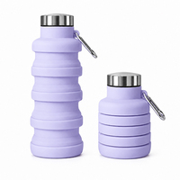 Bouteille d'eau pliable en silicone de 500 ml pour l'extérieur, réutilisable, sans BPA, avec mousqueton pour la salle de sport