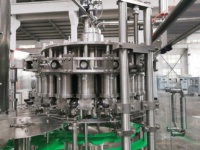 Ligne de production de machines de remplissage de riz pour nids d'oiseaux comestibles PLC, équipement automatique d'embouteillage en verre pour cubilose