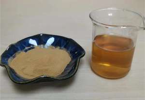 Bai Dahurica özü doğal bitki özü Bai Zhi kökleri gıda kullanımı için - Product Image 2