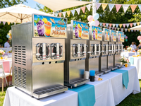 USA op voorraad 2-tank slushmachine te koop, commerciële slushy machine, ijskoffie, frozen margarita, koude dranken automaat