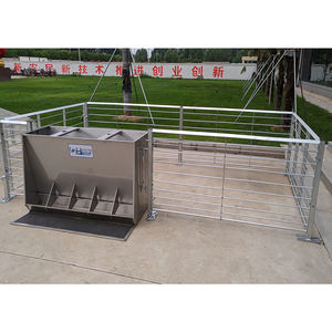 Cage d'engraissement pour porcs HENGYIN HY-fatten, en acier galvanisé à chaud, longue durée de vie, taille personnalisable, complète, vente en gros - Product Image 4